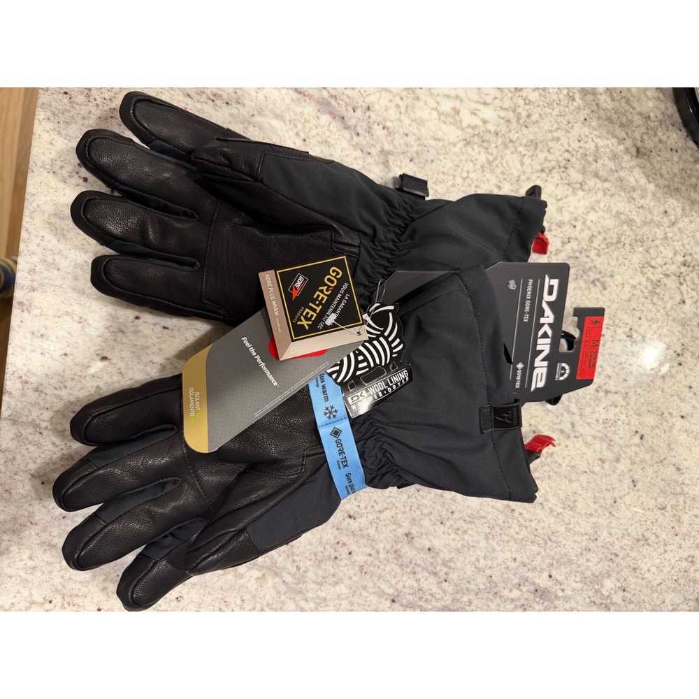 Dakine Phoenix Gore-Tex Mens Gloves Black Medium 8.5 Removable Liner New